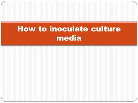How to inoculate culture media