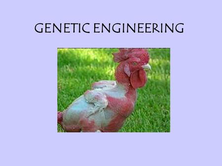 GENETIC ENGINEERING. Genetic engineering examples include taking the gene that programs poison in the tail of a scorpion, and combining it with a cabbage.