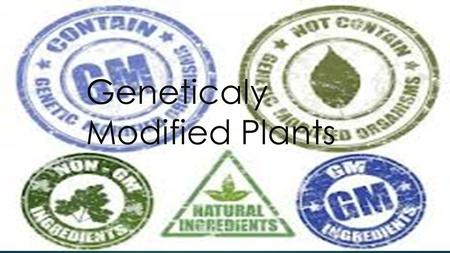 Geneticaly Modified Plants. Which one ? Beneficial?Risky ? Unintended Harm To Other Organism Reduce Effectiveness Of Pesticides Allergenicity Gene transfer.