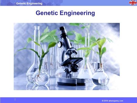 Genetic Engineering © 2014 wheresjenny.com Genetic Engineering.