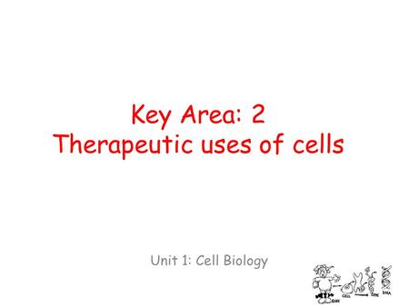 Key Area: 2 Therapeutic uses of cells