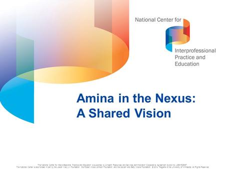 Amina in the Nexus: A Shared Vision
