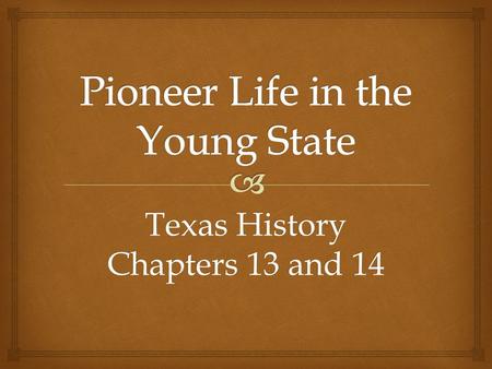 Pioneer Life in the Young State