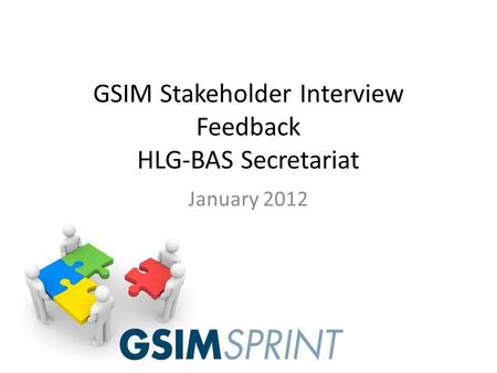 GSIM Stakeholder Interview Feedback HLG-BAS Secretariat January 2012.