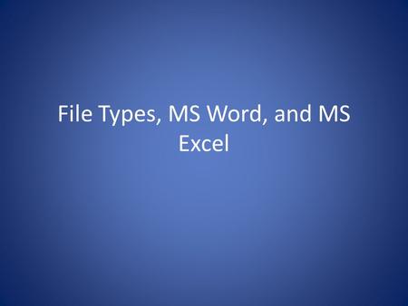 File Types, MS Word, and MS Excel