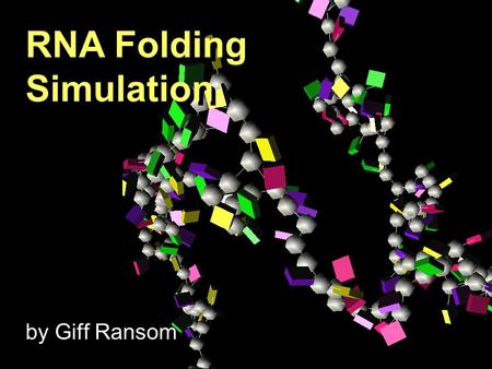 RNA Folding Simulation by Giff Ransom RNA Folding Simulation.