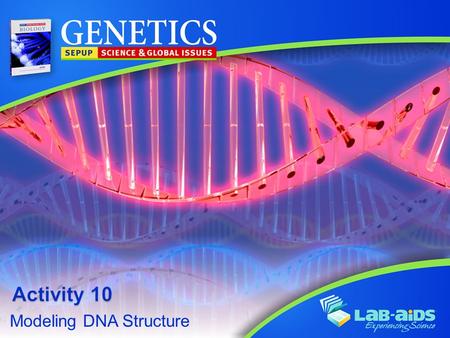 Modeling DNA Structure. Activity 10: Modeling DNA Structure LIMITED LICENSE TO MODIFY. These PowerPoint® slides may be modified only by teachers currently.