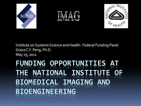 Institute on Systems Science and Health- Federal Funding Panel Grace C.Y. Peng, Ph.D. May 25, 2011.