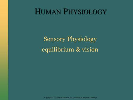 Copyright © 2004 Pearson Education, Inc., publishing as Benjamin Cummings H UMAN P HYSIOLOGY Sensory Physiology equilibrium & vision.
