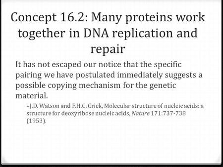 Concept 16.2: Many proteins work together in DNA replication and repair It has not escaped our notice that the specific pairing we have postulated immediately.