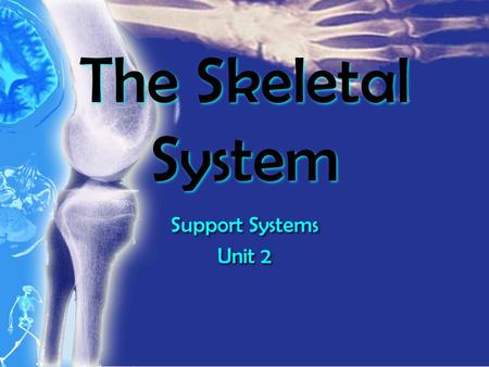 The Skeletal System Support Systems Unit 2 Support Systems Unit 2.
