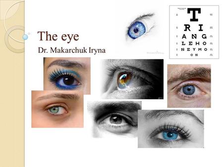 The eye Dr. Makarchuk Iryna. The eye is a complex sensory organ that provides the sense of sight. In many ways, the eye is similar to a digital camera.
