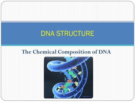 The Chemical Composition of DNA DNA STRUCTURE. 1920s- It was determined that DNA comprises three main components: Deoxyribose sugar Phosphate group Nitrogenous.