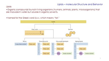 Lipids – molecular Structure and Behavior