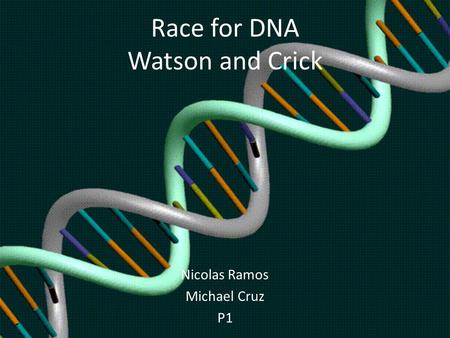Race for DNA Watson and Crick Nicolas Ramos Michael Cruz P1.