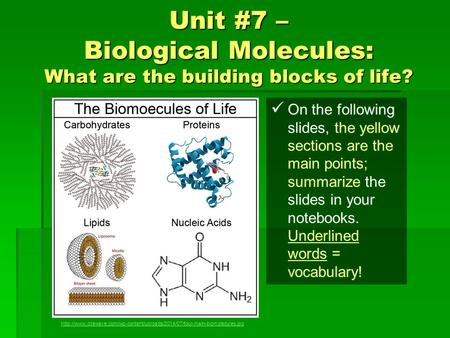 Unit #7 – Biological Molecules: What are the building blocks of life?