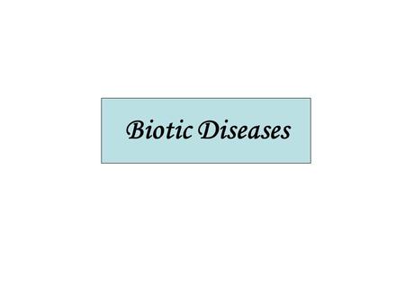 Biotic Diseases. They can be caused by: 1. Nematodes 2. Viruses 3. Bacteria 4. Parasitic higher plants 5. Fungi.