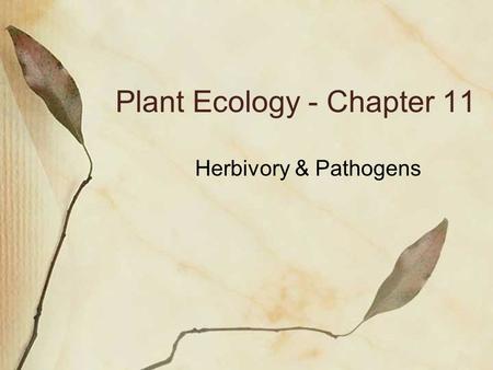 Plant Ecology - Chapter 11 Herbivory & Pathogens.