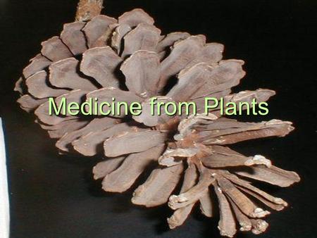Medicine from Plants.
