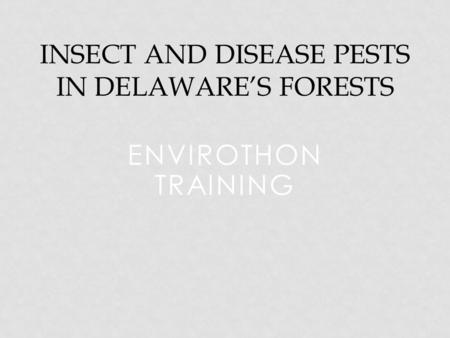 ENVIROTHON TRAINING INSECT AND DISEASE PESTS IN DELAWARE’S FORESTS.