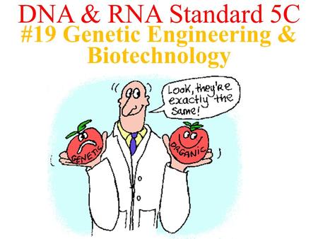 #19 Genetic Engineering & Biotechnology DNA & RNA Standard 5C.