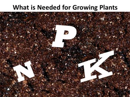 What is Needed for Growing Plants