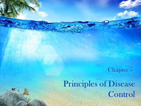 Principles of Disease Control Chapter 5. OBJECTIVES Clarify principles of disease control.