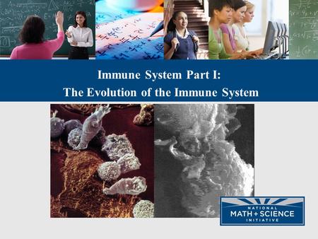 Immune System Part I: The Evolution of the Immune System.