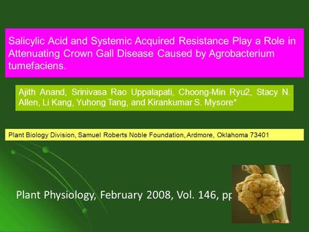 Plant Physiology, February 2008, Vol. 146, pp.703–715