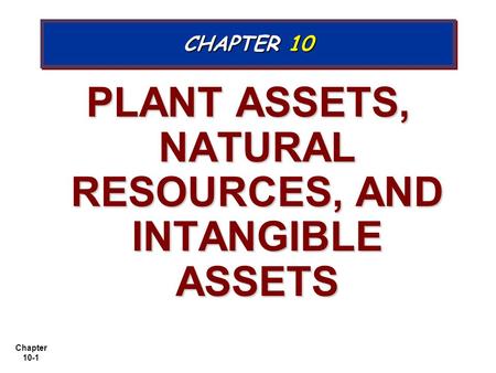 PLANT ASSETS, NATURAL RESOURCES, AND INTANGIBLE ASSETS