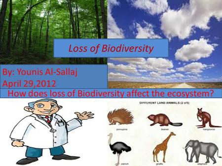 How does loss of Biodiversity affect the ecosystem?