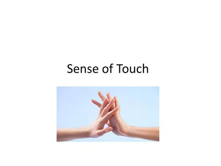 Sense of Touch.