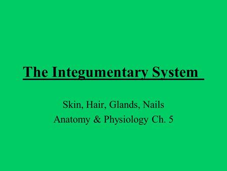 The Integumentary System Skin, Hair, Glands, Nails Anatomy & Physiology Ch. 5.