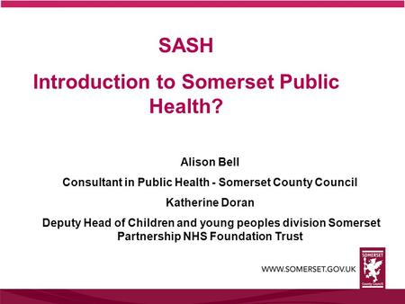 SASH Introduction to Somerset Public Health?