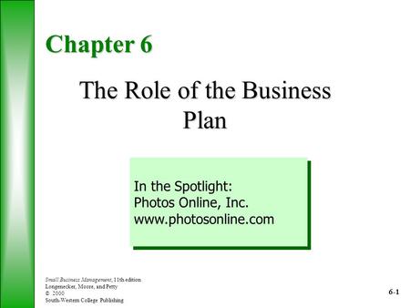 The Role of the Business Plan