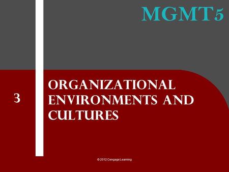 Organizational Environments and Cultures