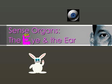 Sense Organs: The ye & the Ear. THE EAR   Combining Forms for the ear: ot/o, aur/o, auricul/o   Two functions of the ear: Hearing Equilibrium (balance)