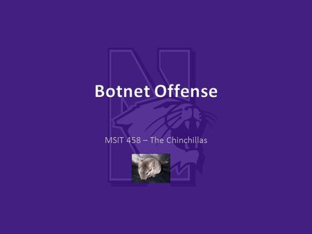 MSIT 458 – The Chinchillas. Offense Overview Botnet taxonomies need to be updated constantly in order to remain “complete” and are only as good as their.