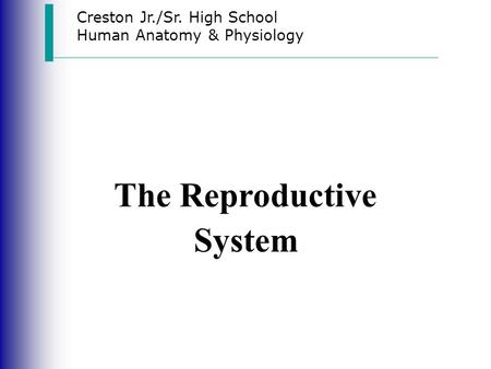 Creston Jr./Sr. High School Human Anatomy & Physiology The Reproductive System.