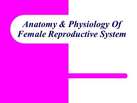 Anatomy & Physiology Of Female Reproductive System