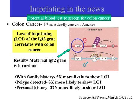Imprinting in the news Colon Cancer- 3 rd most deadly cancer in America Loss of Imprinting (LOI) of the Igf2 gene correlates with colon cancer With family.