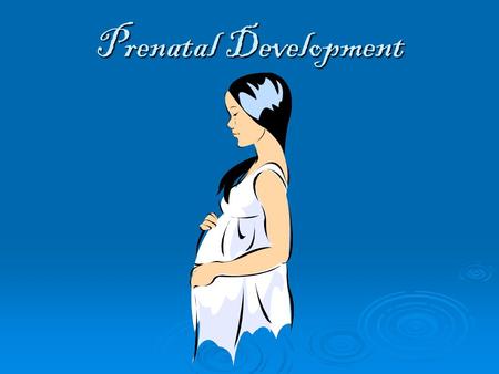 Prenatal Development.  Sperm: The male sex cell  Ovum: The female sex cell.