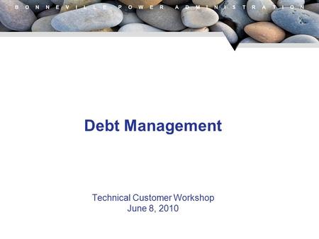 B O N N E V I L L E P O W E R A D M I N I S T R A T I O N Debt Management Technical Customer Workshop June 8, 2010.