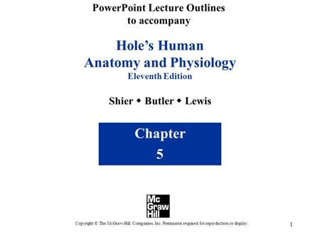 1 Hole’s Human Anatomy and Physiology Eleventh Edition Shier  Butler  Lewis Chapter 5 Copyright © The McGraw-Hill Companies, Inc. Permission required.