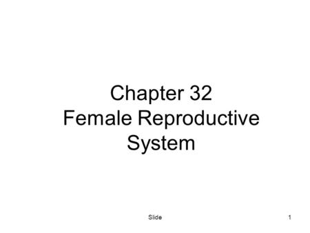 Chapter 32 Female Reproductive System
