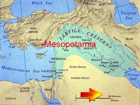 Mesopotamia Next.