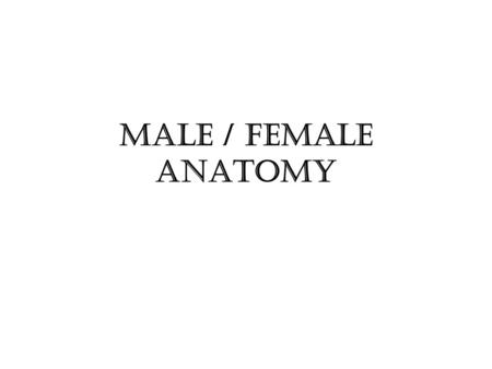 Male / female anatomy.