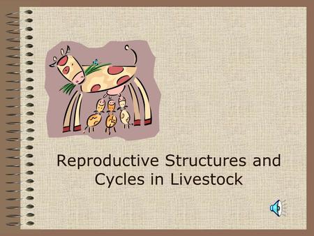 Reproductive Structures and Cycles in Livestock