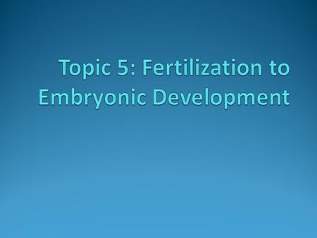 Topic 5: Fertilization to Embryonic Development