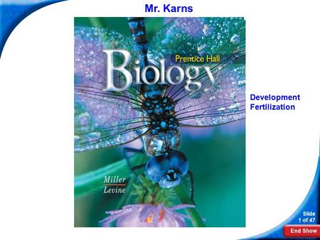 End Show Slide 1 of 47 Biology Mr. Karns Development Fertilization.